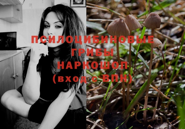 MDMA Ельня